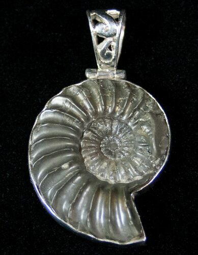 Pyrite Ammonite Pendant - Sterling Silver #12745